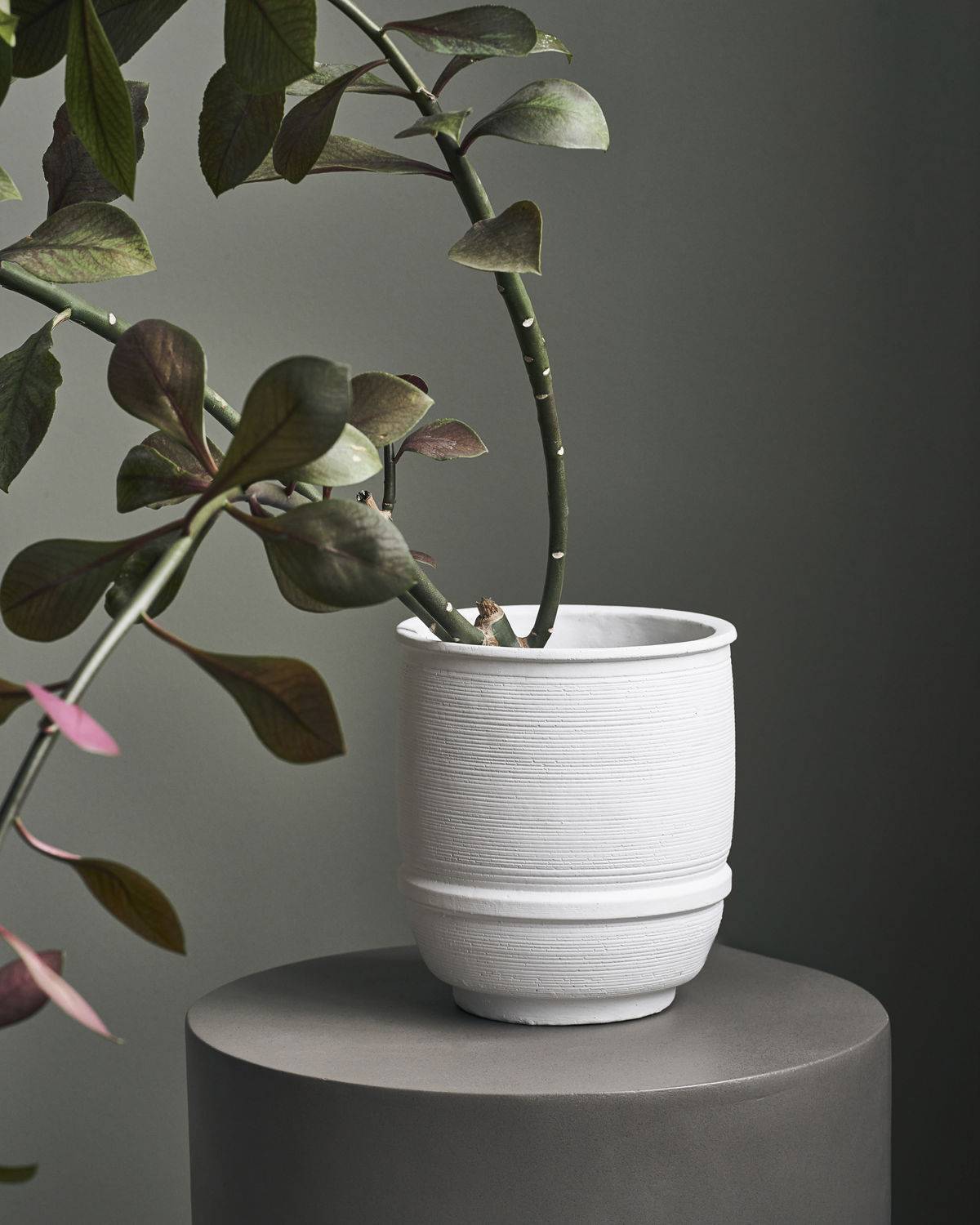 Blumentopf House Doctor